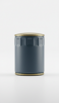 Premium oil filter with anti-drainback valve